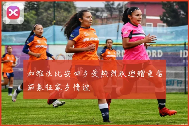 加维法比安回乡受热烈欢迎赠重番茄象征家乡情谊